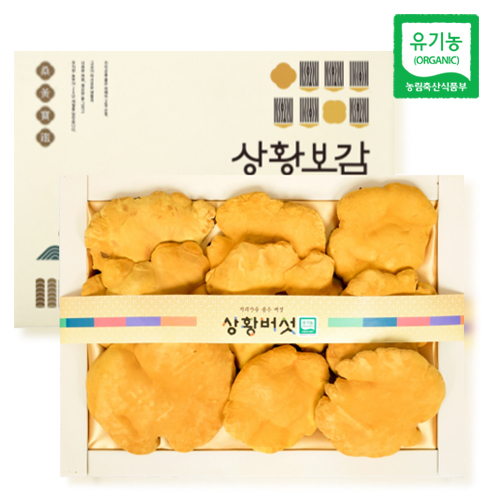 (만개의레시피) 장수상황버섯 가정용 100g _상황보감