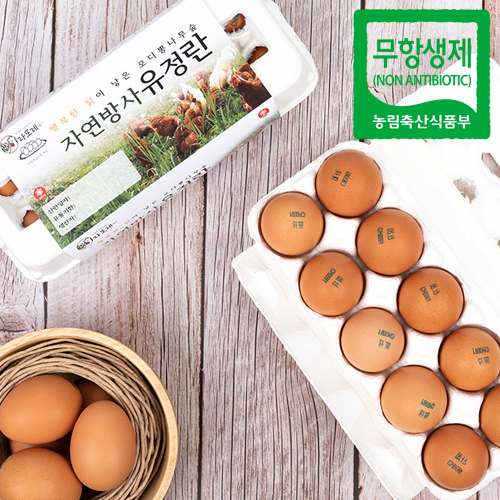 산엔청쇼핑몰,산청장희딸기 350g,500g _우리농원