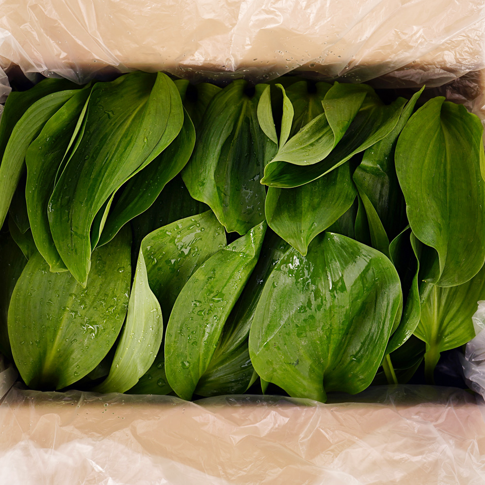 산엔청쇼핑몰,산청장희딸기 350g,500g _우리농원