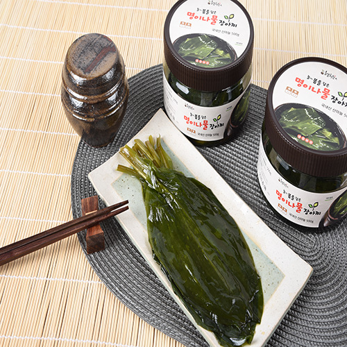 산엔청쇼핑몰,산청장희딸기 350g,500g _우리농원