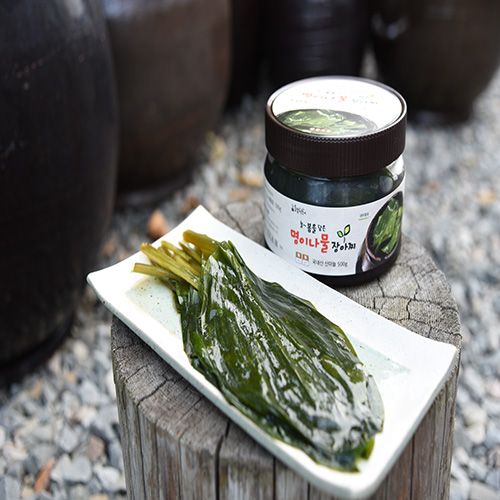 산엔청쇼핑몰,산청장희딸기 350g,500g _우리농원