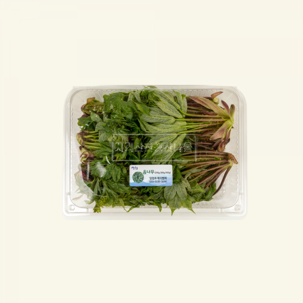 산엔청쇼핑몰,산청장희딸기 350g,500g _우리농원