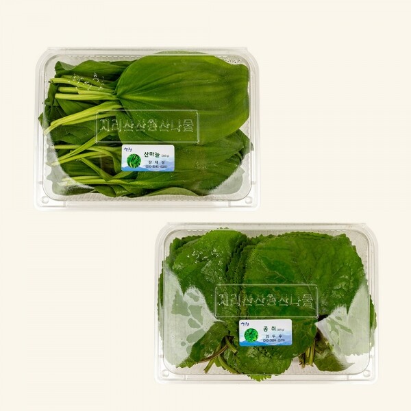 산엔청쇼핑몰,산청장희딸기 350g,500g _우리농원