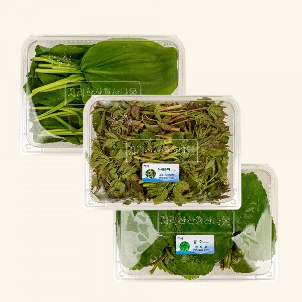 산엔청쇼핑몰,산청장희딸기 350g,500g _우리농원