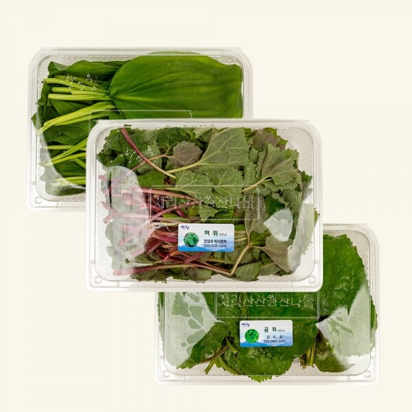 산엔청쇼핑몰,산청장희딸기 350g,500g _우리농원