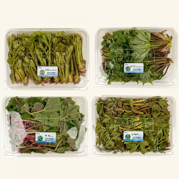 산엔청쇼핑몰,산청장희딸기 350g,500g _우리농원