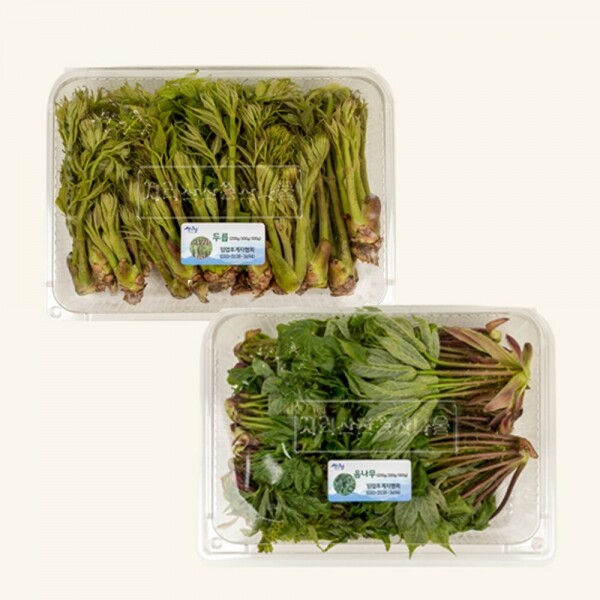산엔청쇼핑몰,산청장희딸기 350g,500g _우리농원