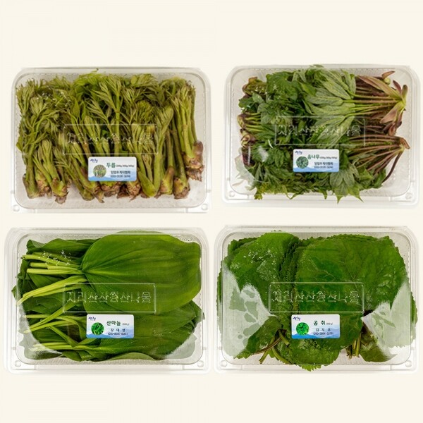 산엔청쇼핑몰,산청장희딸기 350g,500g _우리농원