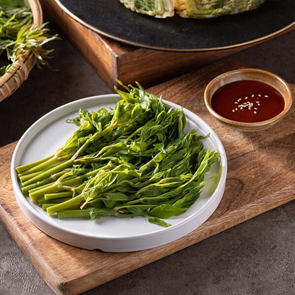 여름두릅 500g _해오름약초