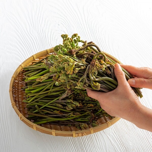 산엔청쇼핑몰,산청장희딸기 350g,500g _우리농원