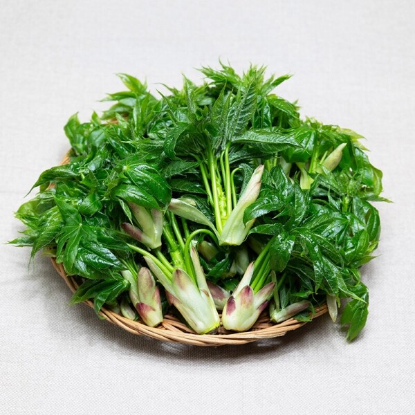 산엔청쇼핑몰,산청장희딸기 350g,500g _우리농원