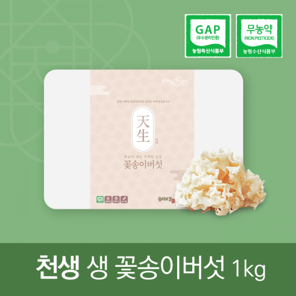 산엔청쇼핑몰,산청장희딸기 350g,500g _우리농원