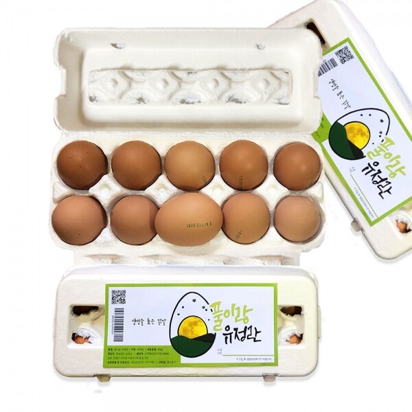 산엔청쇼핑몰,산청장희딸기 350g,500g _우리농원