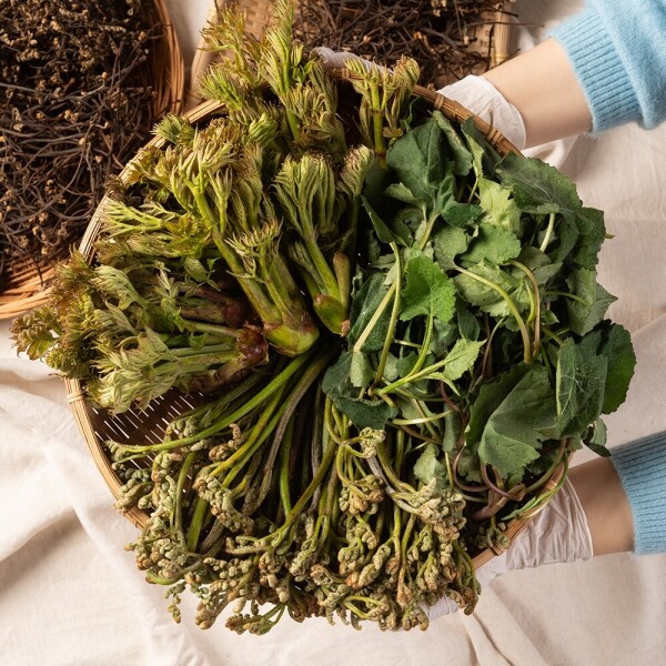 산엔청쇼핑몰,산청장희딸기 350g,500g _우리농원