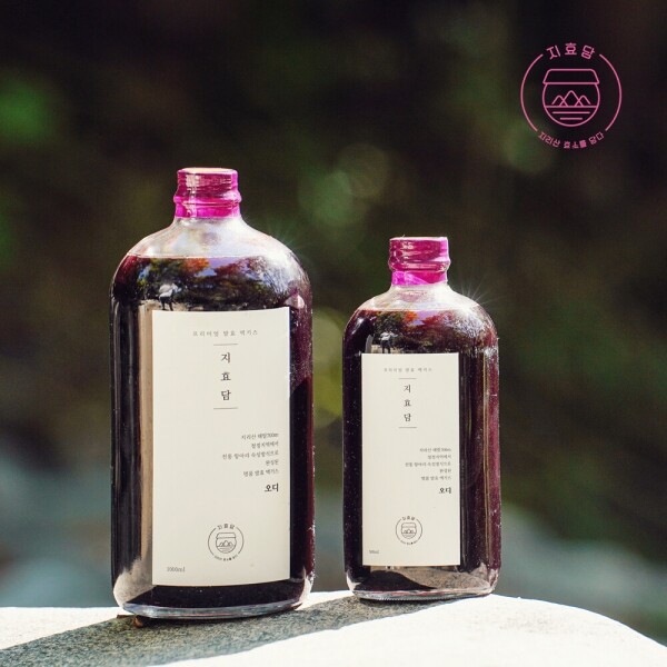 지효담 오디 발효 액기스 500ml/1000ml _지효담
