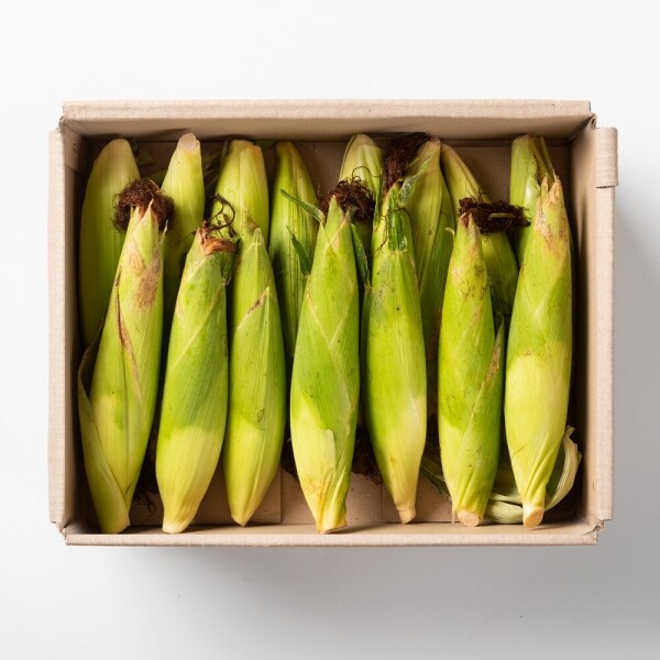 산엔청쇼핑몰,산청장희딸기 350g,500g _우리농원