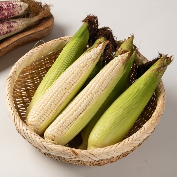 산엔청쇼핑몰,산청장희딸기 350g,500g _우리농원