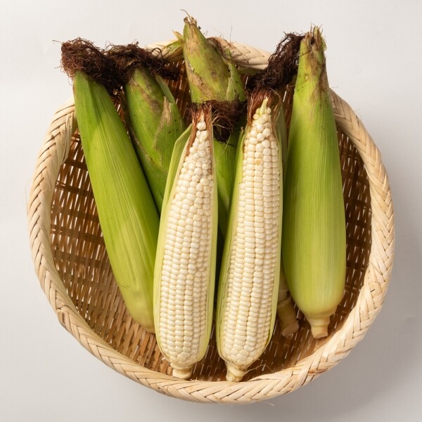 산엔청쇼핑몰,산청장희딸기 350g,500g _우리농원