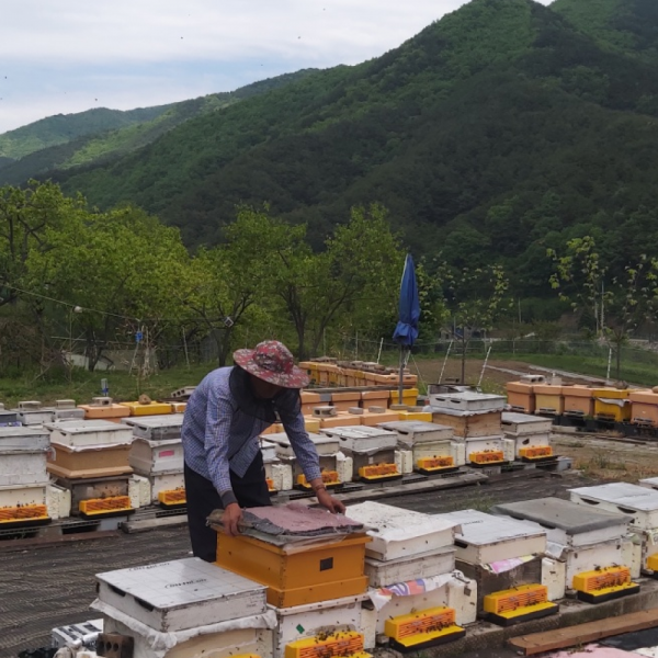 산엔청쇼핑몰,산청장희딸기 350g,500g _우리농원