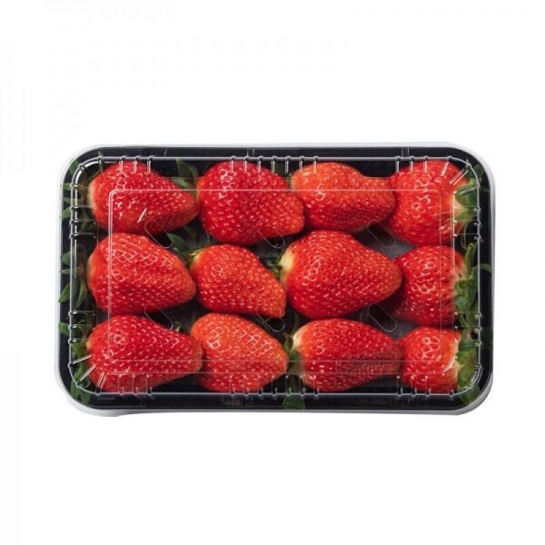 산엔청쇼핑몰,산청장희딸기 350g,500g _우리농원