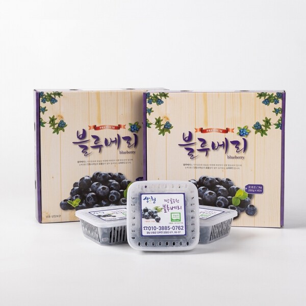 산엔청쇼핑몰,산청장희딸기 350g,500g _우리농원