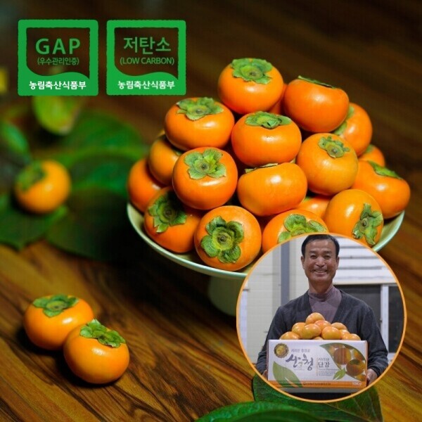 산엔청쇼핑몰,산청장희딸기 350g,500g _우리농원
