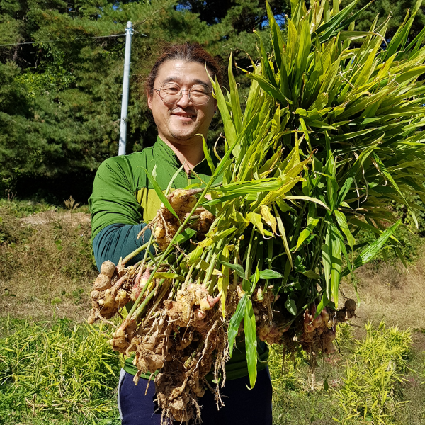 산엔청쇼핑몰,산청장희딸기 350g,500g _우리농원