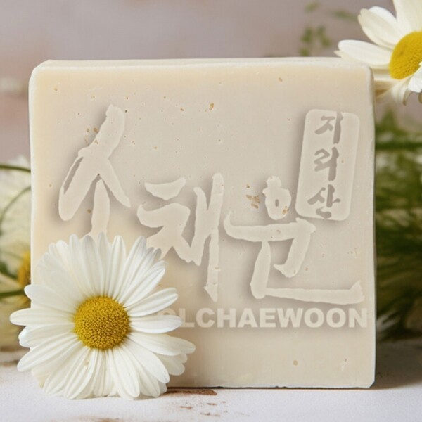 산엔청쇼핑몰,산청장희딸기 350g,500g _우리농원