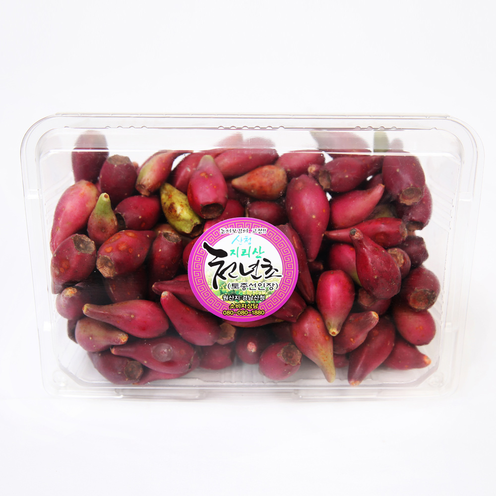 산엔청쇼핑몰,산청장희딸기 350g,500g _우리농원