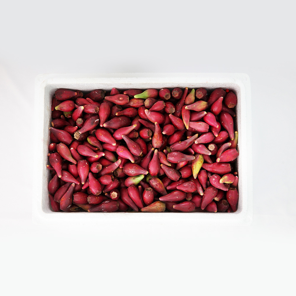 산엔청쇼핑몰,산청장희딸기 350g,500g _우리농원