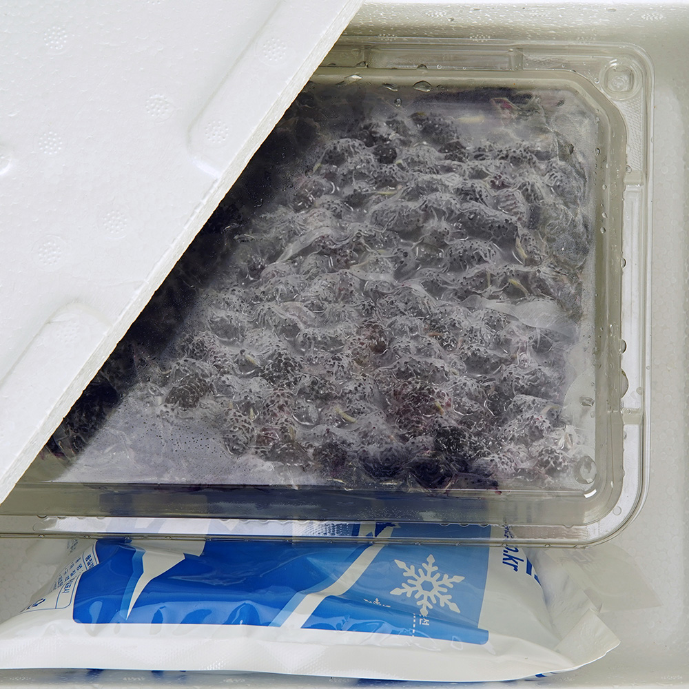 산엔청쇼핑몰,산청장희딸기 350g,500g _우리농원