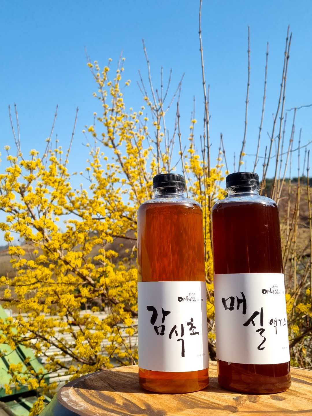 산엔청쇼핑몰,산청장희딸기 350g,500g _우리농원